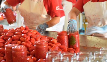 Settembre, tempo di conserve: la magia della lavorazione manuale del pomodoro