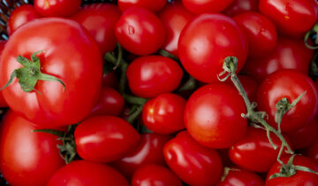 Benefici del pomodoro: un superalimento ricco di sostanze nutritive