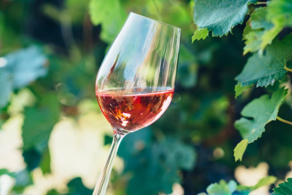 la-magia-della-produzione-del-vino-dal-singolo-grappoli-d-uva-alla