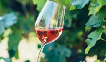 La magia della produzione del vino: dal singolo grappoli  d’uva alla raffinata bottiglia