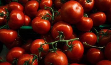 Pelati biologici Petrilli: cosa li rende diversi da tutti gli altri pomodori in commercio