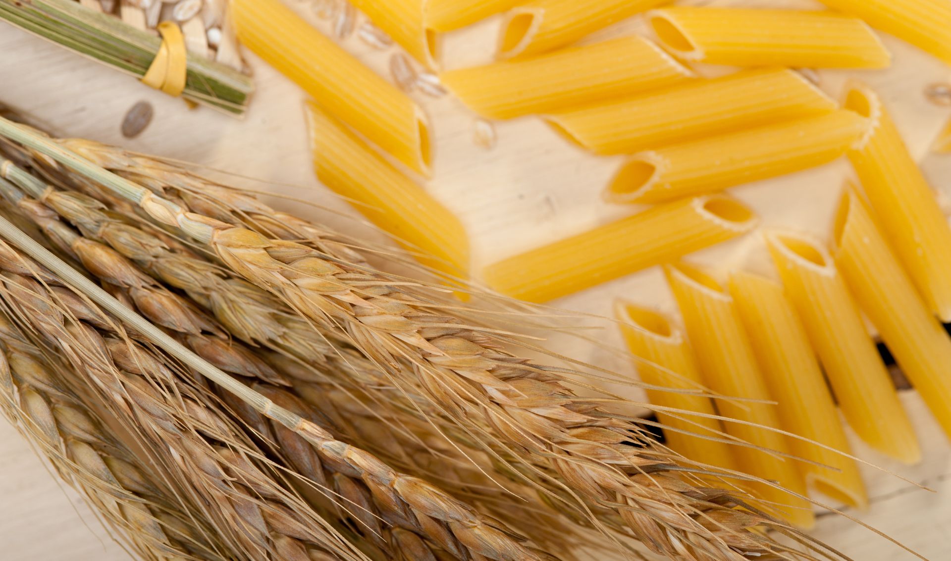 pasta biologica italiana
